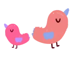 birds